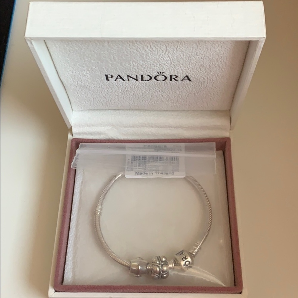 Pandora Moments Snake Chain Bracelet with 2 Charms
